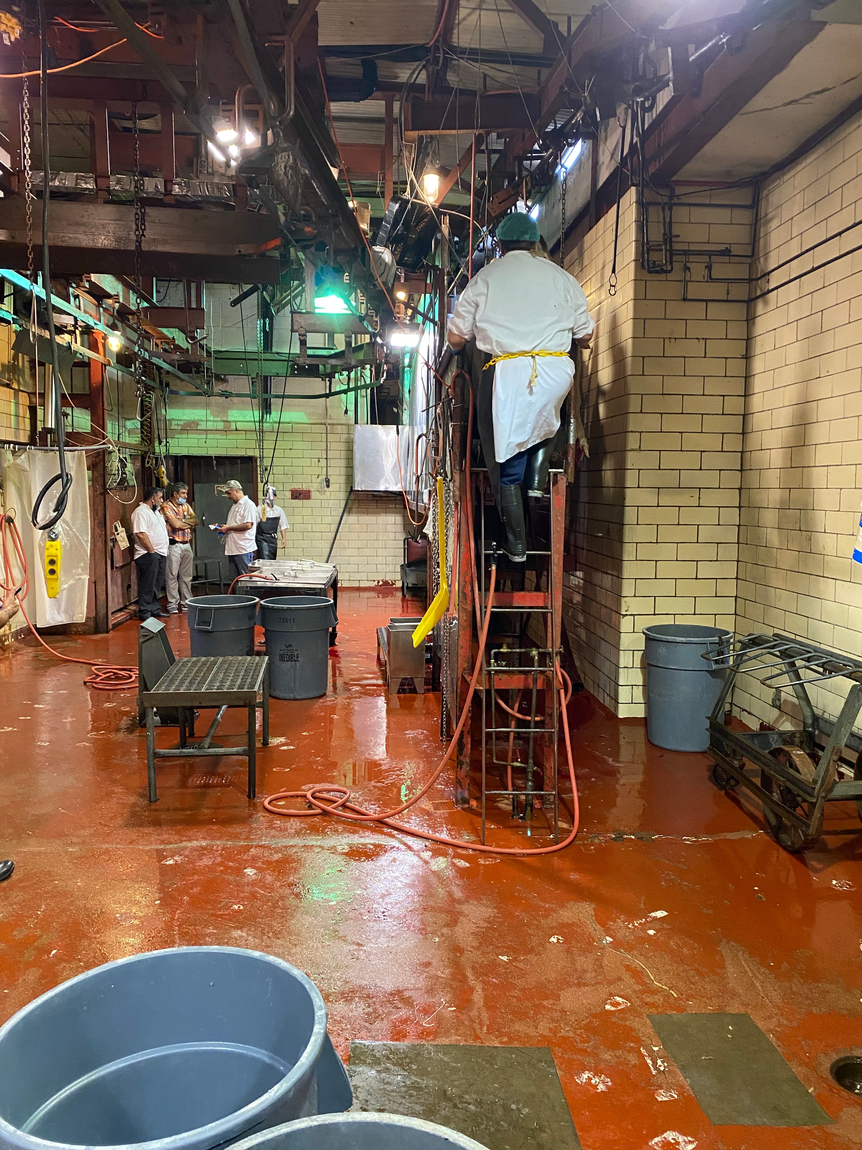 Photo labeled 'kill floor' from an IMP processing area