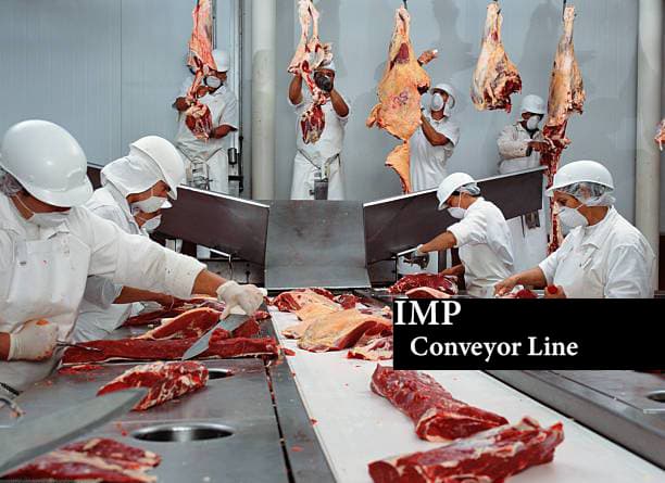 Beef conveyor processing