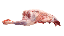 Goat leg and hindquarter